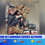Le gouvernement annonce de nouvelles mesures économiques pour soutenir les entreprises locales.