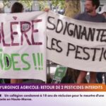 Loi d&rsquo;urgence agricole : la France réintroduit deux pesticides interdits.