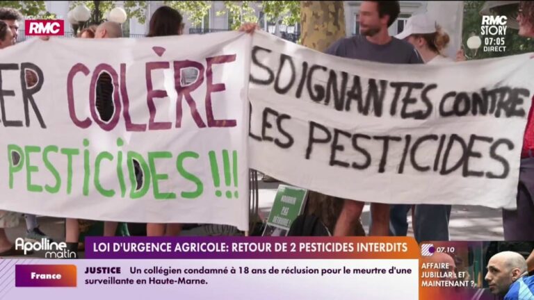Loi d’urgence agricole : la France réintroduit deux pesticides interdits.
