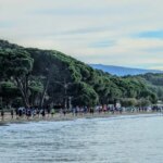 La Londe-les-Maures se distingue en tant que destination immobilière face aux grandes villes côtières.
