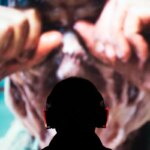 Le NIFFF célèbre 25 ans de cinéma de genre avec des projections et des rencontres professionnelles.