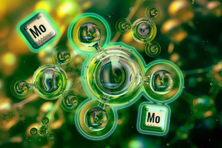 Efficacité variable des enzymes de traitement de l’azote selon les recherches du MIT