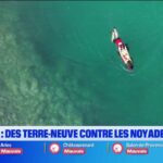 Marseille : des chiens Terre-Neuve mobilisés pour prévenir les noyades en mer