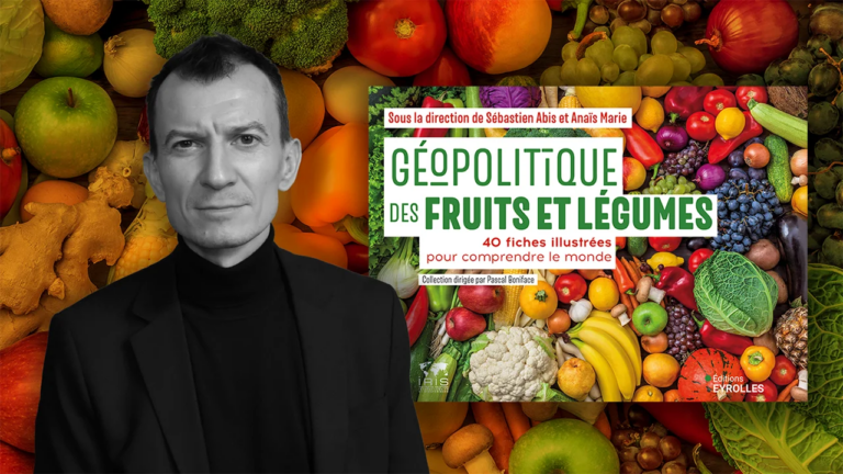 La hausse des exportations de fruits et légumes d’Espagne provoque des tensions avec les producteurs locaux en France.