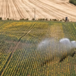 Loi urgence agricole : réintroduction de pesticides et mesures sur le stockage de l&rsquo;eau votées.
