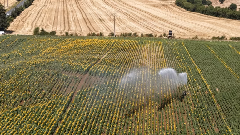 Loi urgence agricole : réintroduction de pesticides et mesures sur le stockage de l’eau votées.