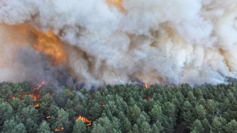 Incendies en cours à Fontainebleau : 300 hectares brûlés dans le Maine-et-Loire.