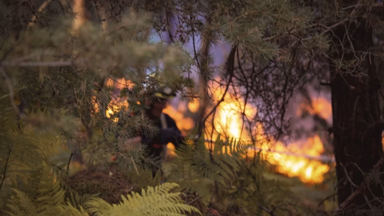 Risques élevés de feux de forêts : 27 départements en vigilance orange ce lundi.