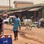 Bénin et Niger : Niamey impose des conditions pour la réouverture de la frontière.