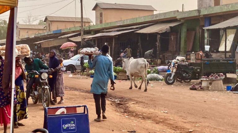 Bénin et Niger : Niamey impose des conditions pour la réouverture de la frontière.