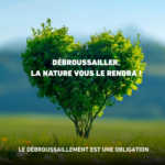 Débroussaillage préventif : une mesure pour protéger les habitations et l&rsquo;environnement.