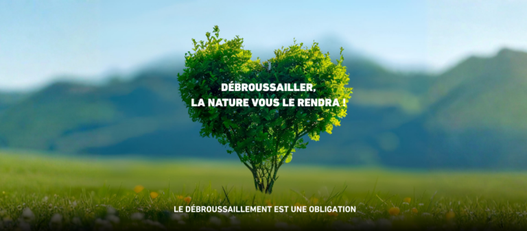 Débroussaillage préventif : une mesure pour protéger les habitations et l’environnement.