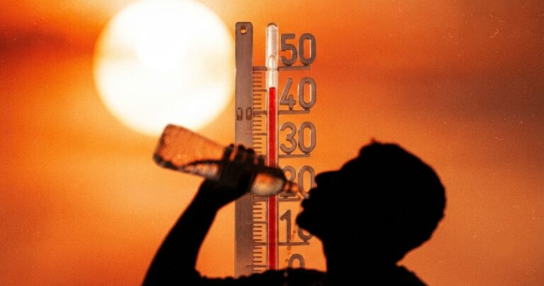 Alertes canicule maintenues par Météo-France ce vendredi 24 juillet dans plusieurs régions.