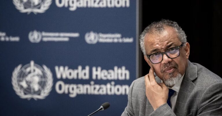 Sommet « One Health » à Lyon : les pays échangent sur la santé mondiale sans les États-Unis.