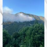 Feu de forêt dans les Alpes-Maritimes : plus de 40 largages effectués par les autorités.