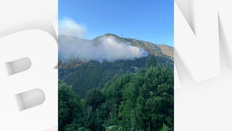 Feu de forêt dans les Alpes-Maritimes : plus de 40 largages effectués par les autorités.