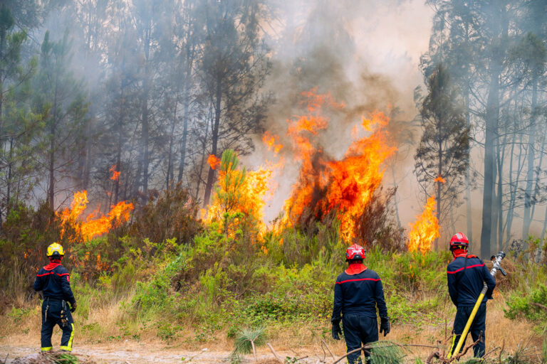 Incendies : Pascal Martin, sénateur, appelle à repenser la doctrine opérationnelle des pompiers