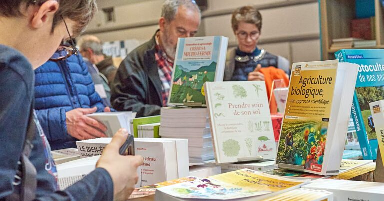 La lecture en silence influence la langue française et ses pratiques littéraires.