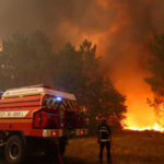 Incendies en Gironde : Macron annonce un plan pour replanter une forêt différente.