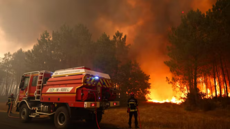 Incendies en Gironde : Macron annonce un plan pour replanter une forêt différente.