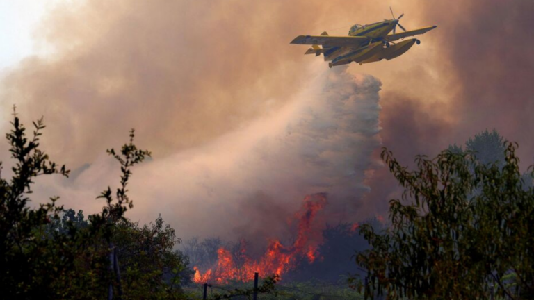 Incendie près de Madrid : situation « favorable », 12 heures décisives selon Pedro Sánchez