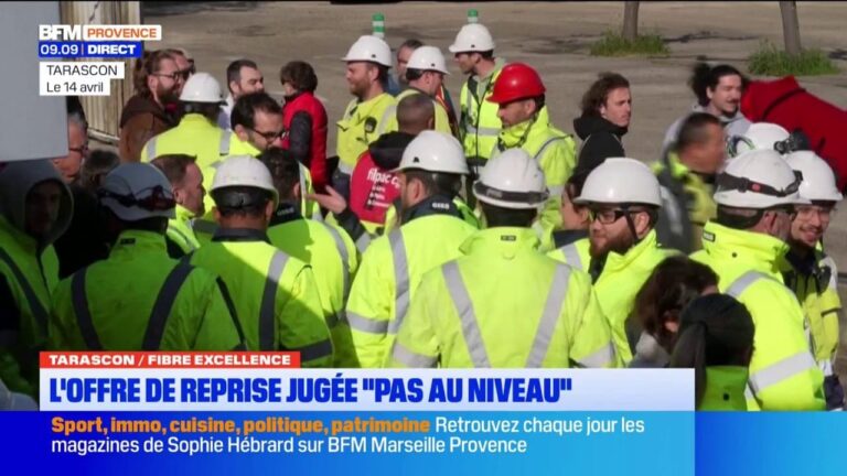 Tarascon : le ministre de l’Économie critique l’offre de reprise de Fibre Excellence