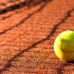 Résultats ATP et WTA du 20 juillet : matches et classements mis à jour.
