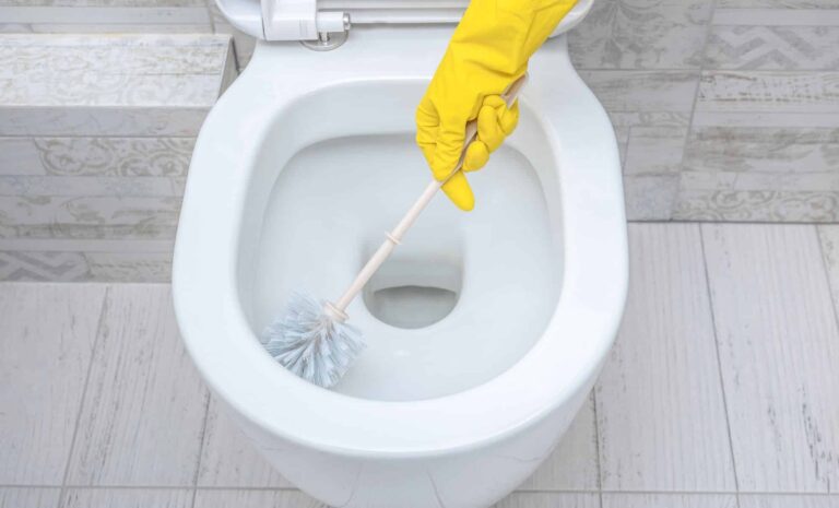 Un geste de 10 secondes dans les toilettes recommandé avant les vacances pour réduire les risques sanitaires.