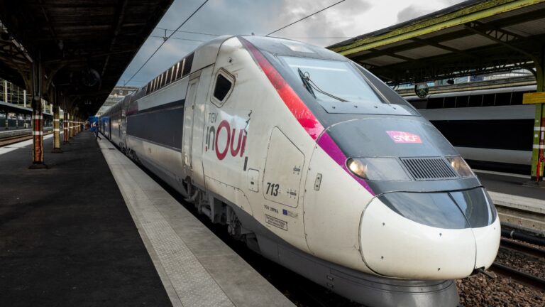 Travaux de réparation achevés à la gare de Lyon, mais l’incendie persiste à Fontainebleau.