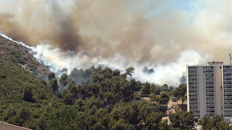 Incendie à l’est de Marseille : douze hectares brûlés, le feu est désormais fixé.