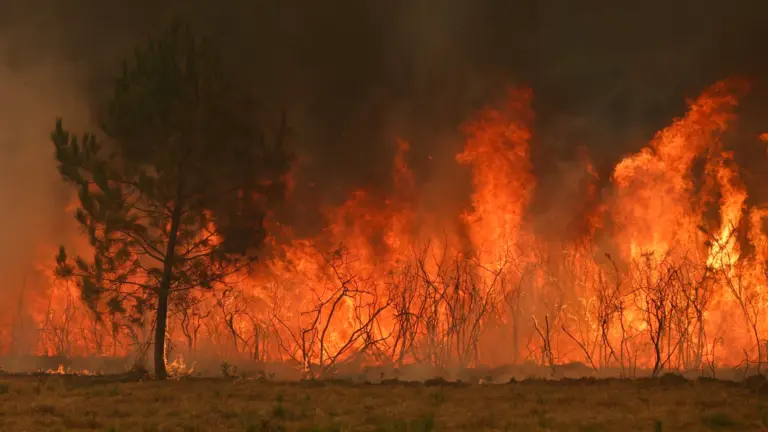 Incendies en Gironde : Pierre Ducasse, ancien Bordelais, aide les pompiers sur le terrain