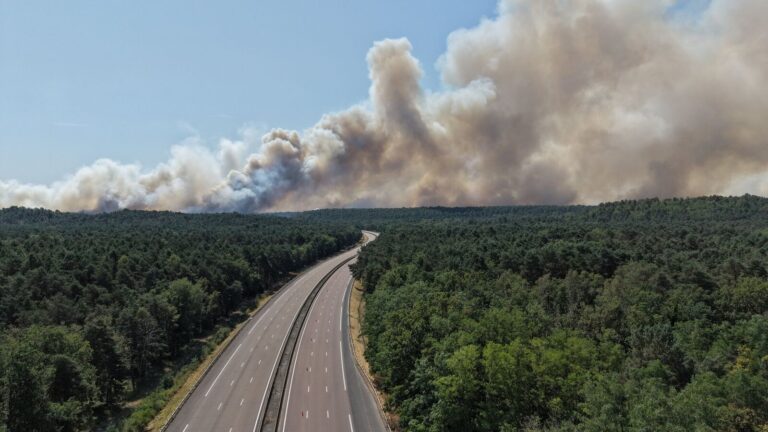 Incendies en forêt de Fontainebleau : l’A6 coupée, réouverture incertaine avant le week-end.