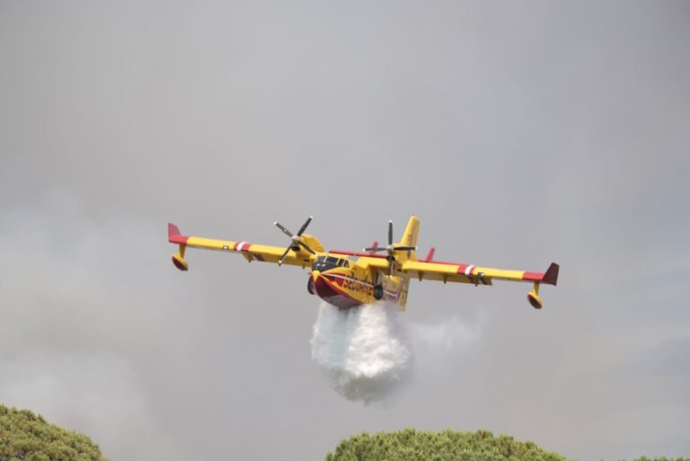 Incendie du Gros Bessillon à Pontevès : intervention des pompiers en cours pour maîtriser le feu.