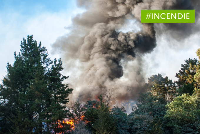 Incendies de la forêt de Fontainebleau : recommandations sanitaires pour la population locale