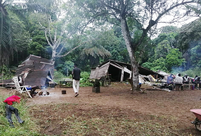 Pétrole au Gabon : alerte sur la faune et les conséquences pour les communautés locales.