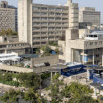 Afrique du Sud : réappropriation des langues maternelles pour décoloniser le savoir