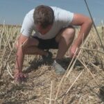 La canicule entraîne une hausse des demandes d&rsquo;indemnisation chez les assureurs européens.