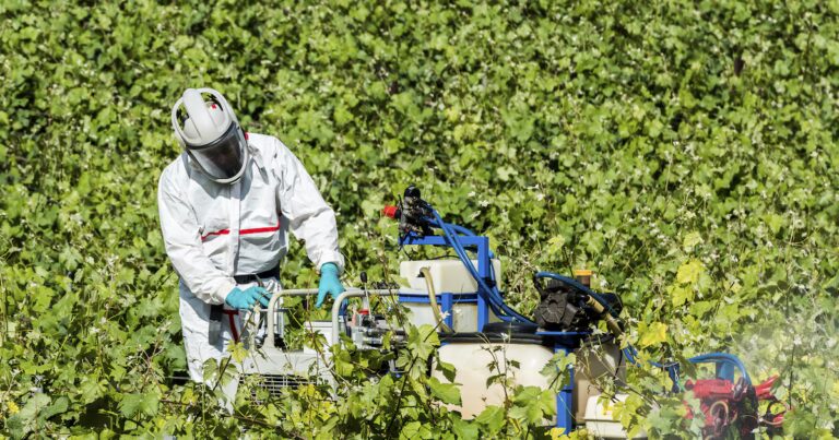 Pesticides au Pérou : une étude remet en question le lien avec le cancer.