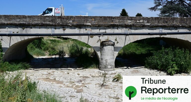 Canicule et loi agricole : les tensions autour de l’accès à l’eau pour l’agriculture.