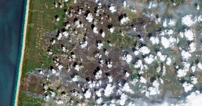 Incendie record en Gironde cet été, près de 1 500 hectares détruits.