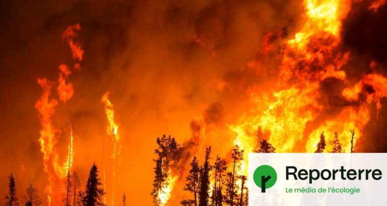 Canada : près de 900 incendies actifs, 2,7 millions d’hectares touchés par les flammes.