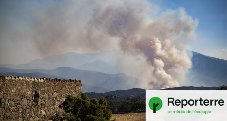 La France face aux limites de sa stratégie pour rendre les paysages résistants aux incendies