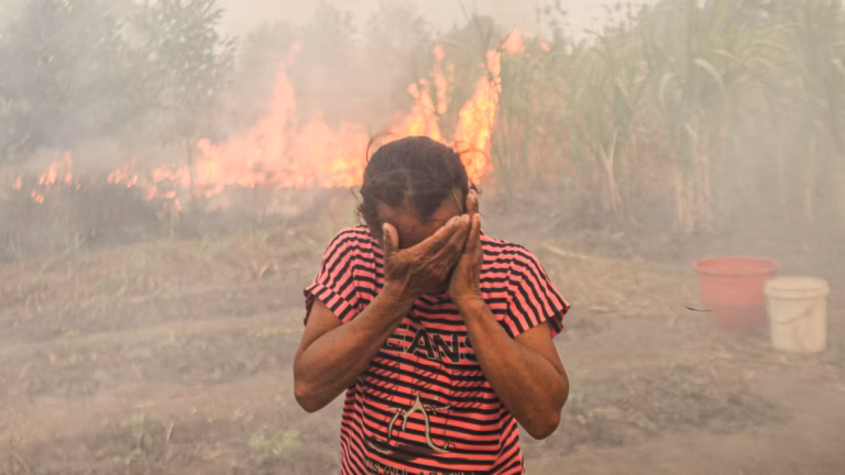El Niño : des scientifiques alertent sur des risques accrus pour l’environnement mondial