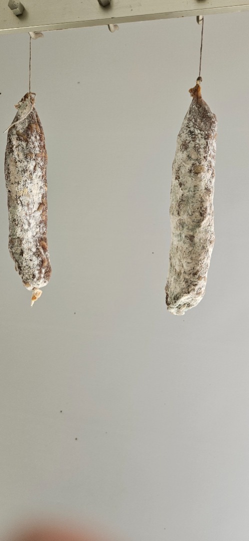 saucisson sec