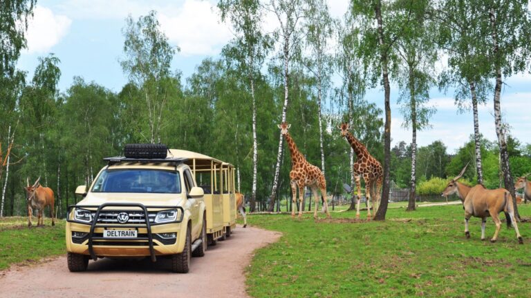 Quatre activités familiales dans les parcs animaliers de Wallonie pendant les vacances