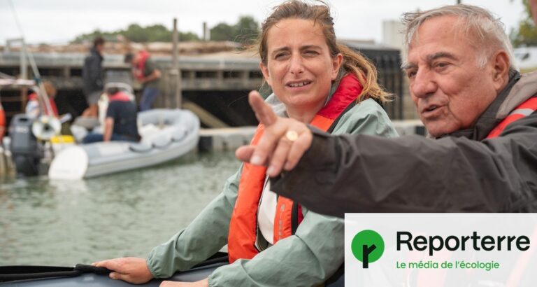 Incendies interrompent le tour de France de Marine Tondelier, impactant la campagne électorale.