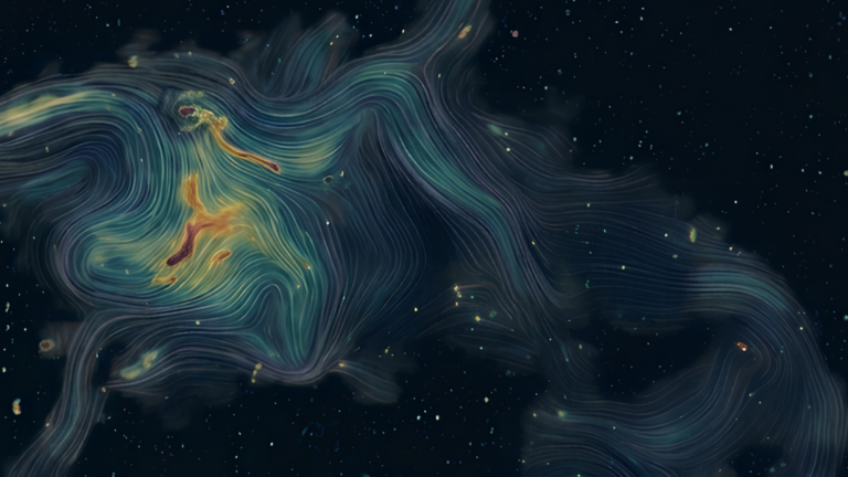 Reconstruction du champ magnétique d’un amas de galaxies grâce à une carte astronomique révolutionnaire