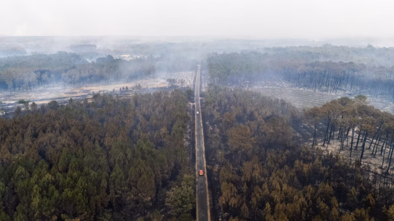 Feux de forêt : les autorités rappellent les gestes à adopter face aux fumées.