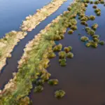Urgence agricole : la CMP limite les atteintes à la démocratie de l&rsquo;eau en France