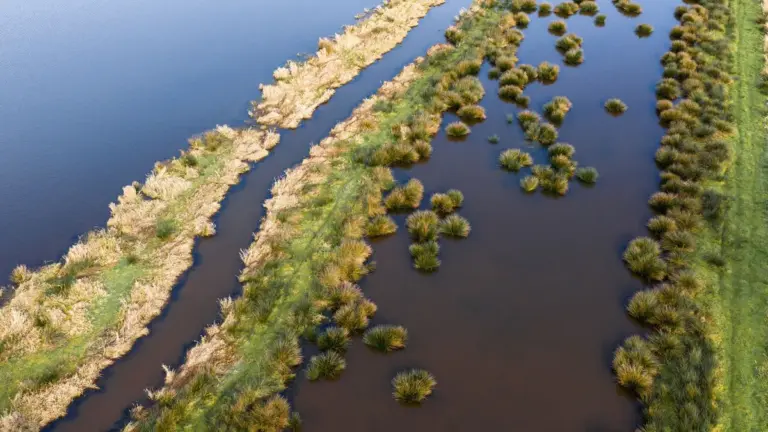 Urgence agricole : la CMP limite les atteintes à la démocratie de l’eau en France